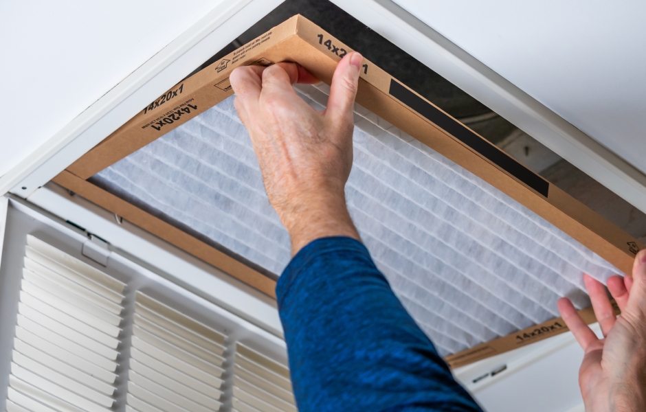 Lint Traps, Filters, and Behind the Dryer